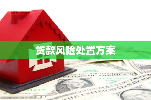来义贷款风险处置方案