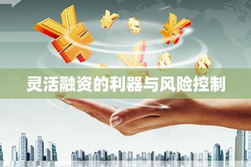 来义灵活融资的利器与风险控制