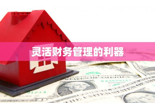 来义灵活财务管理的利器