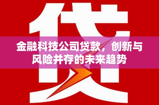 来义金融科技公司贷款，创新与风险并存的未来趋势