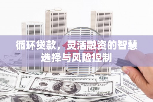 来义循环贷款，灵活融资的智慧选择与风险控制