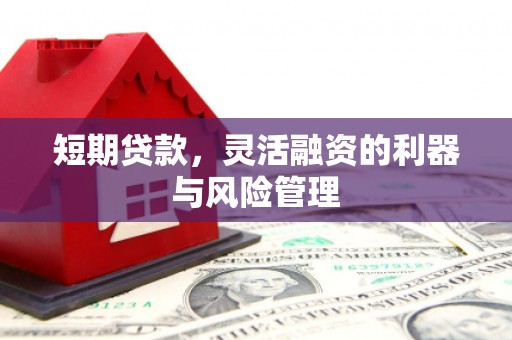 来义短期贷款，灵活融资的利器与风险管理