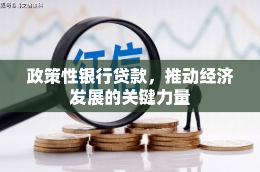 来义政策性银行贷款，推动经济发展的关键力量