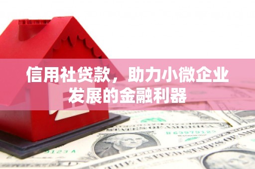 来义信用社贷款，助力小微企业发展的金融利器