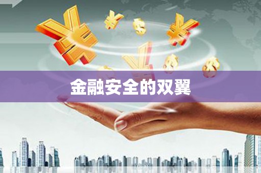 来义金融安全的双翼